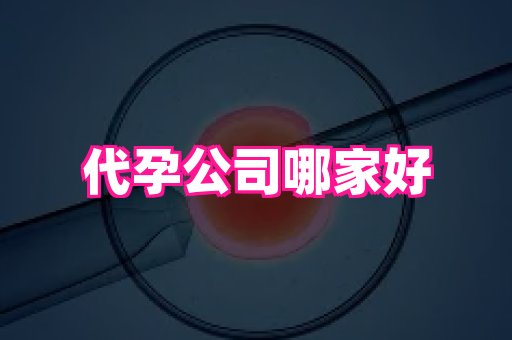 深圳助孕网站 3