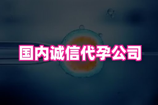深圳助孕网站 4